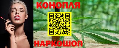 гидропоника Краснодар