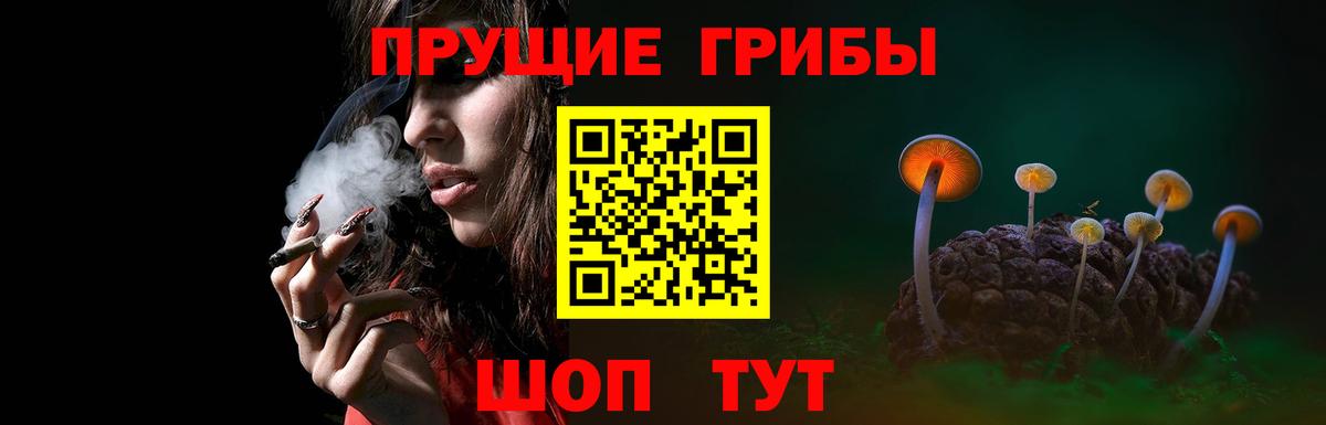 как найти закладки  Вход с VPN  Кубинка  Псилоцибиновые грибы Psilocybine cubensis 